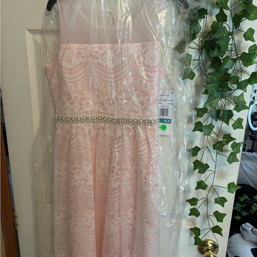 Girls Plus Size 16.5 Sunday best blush pink lace dresd